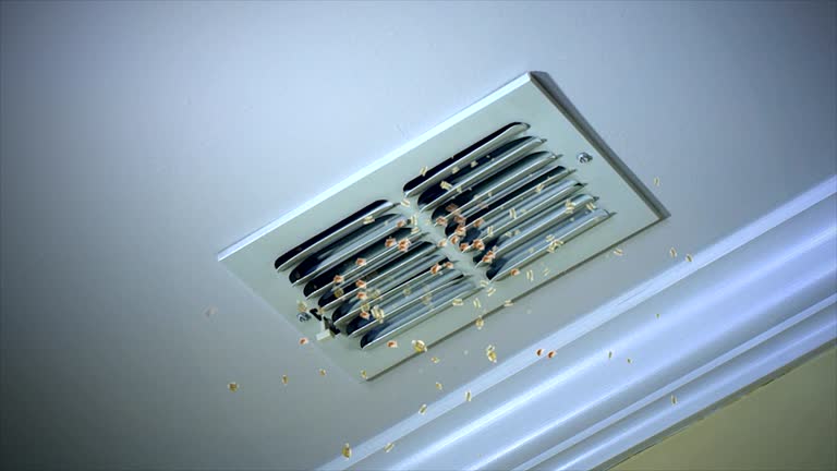 Best HVAC System Cleaning  in Madisonville, TX