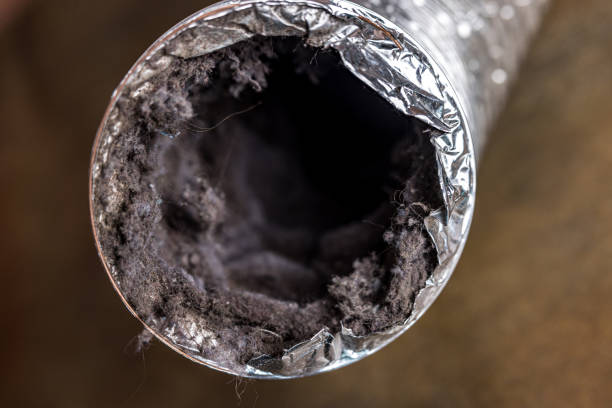 Best Home Air Vent Cleaning  in Madisonville, TX