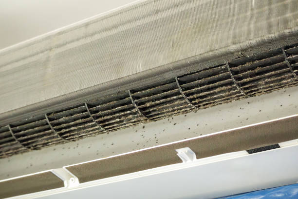 Best Air Duct Cleaning Company Near Me  in Madisonville, TX